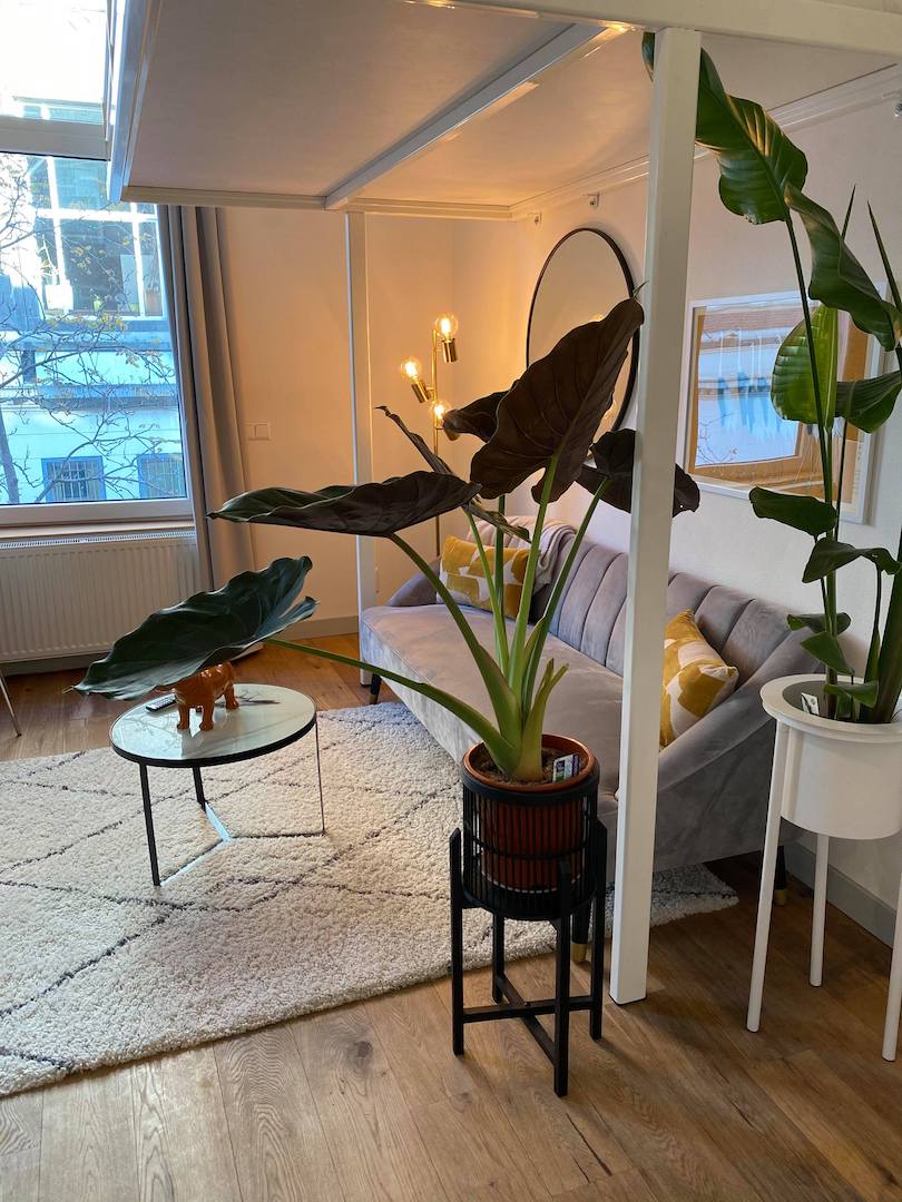 131424584_300491247987230_168279998497993134_n