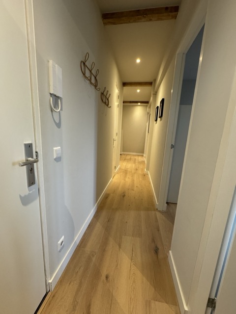 IMG_3591 Large Medium