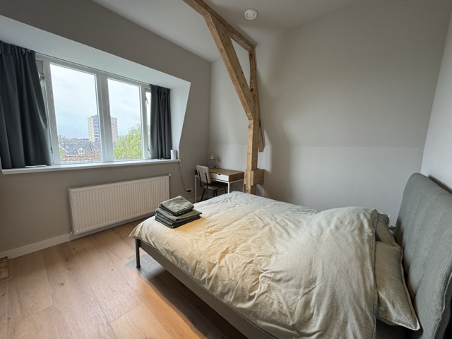 IMG_3593 Large Medium