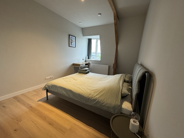 IMG_3594 Large Medium