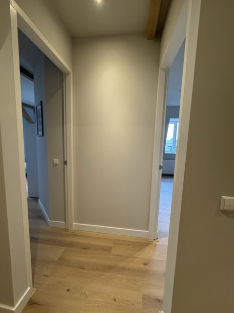 IMG_3596 Large Medium