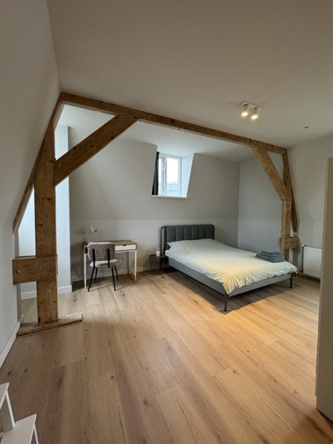 IMG_3597 Large Medium