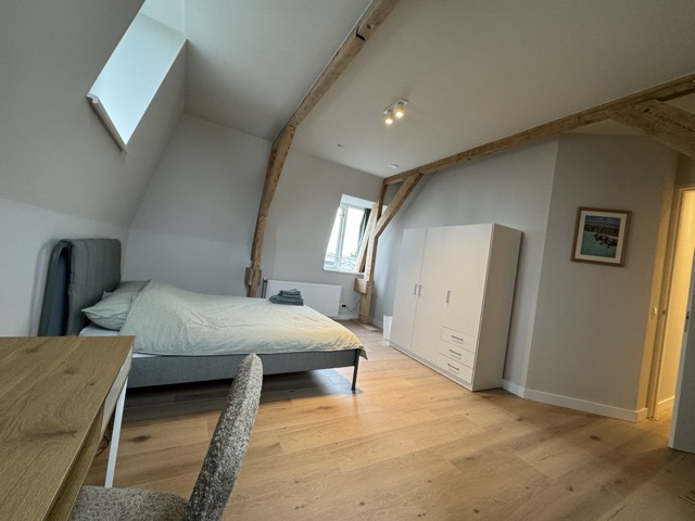 IMG_3598 Large Medium