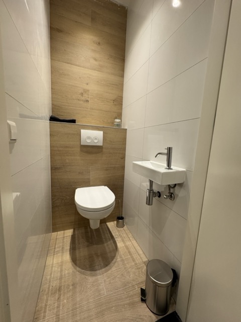 IMG_3604 Large Medium