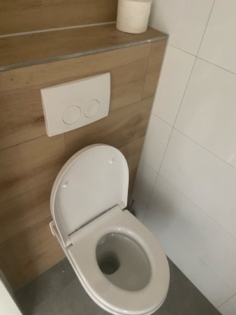 IMG_7151 copy Medium