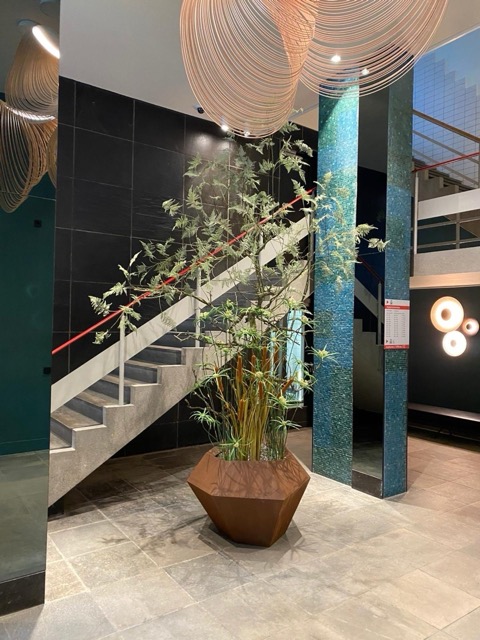 Unknown copy 2 Medium